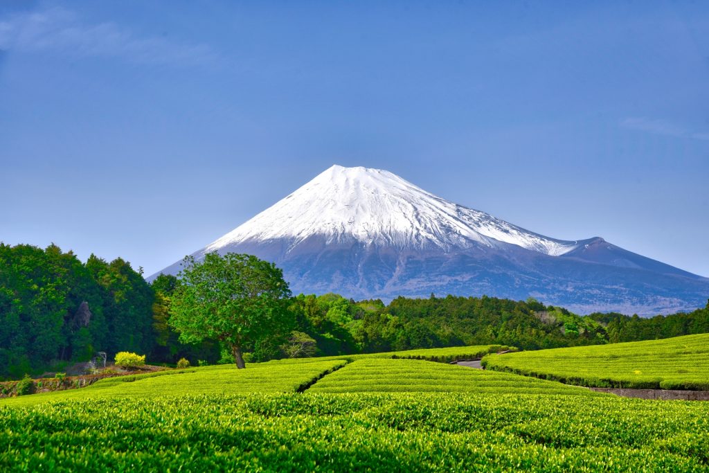 fuji1
