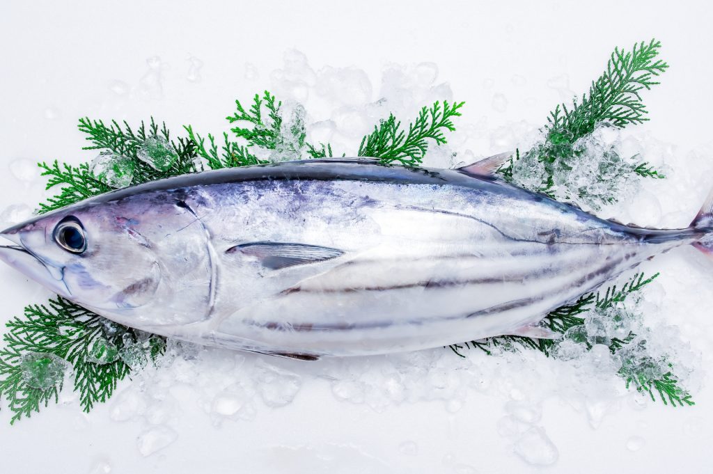 sashimi2